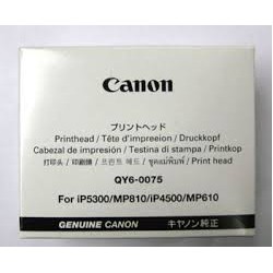 Annadue QY6-0072 Tête d'impression pour Canon IP4600 IP4680 IP4700 IP4760  MP630 MP640, Remplacement de la Tête d'impression pour Canon, avec Housse  de